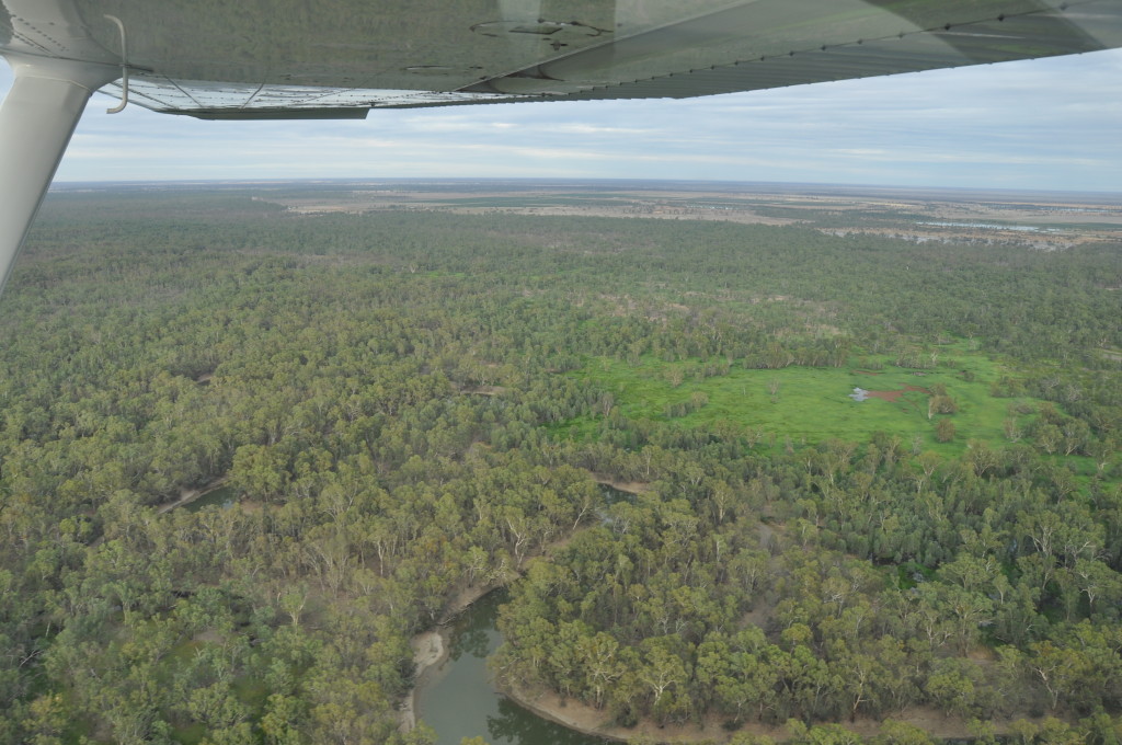 Murrumbidgee River, river red gum woodland and spike rush wetland (middle right)