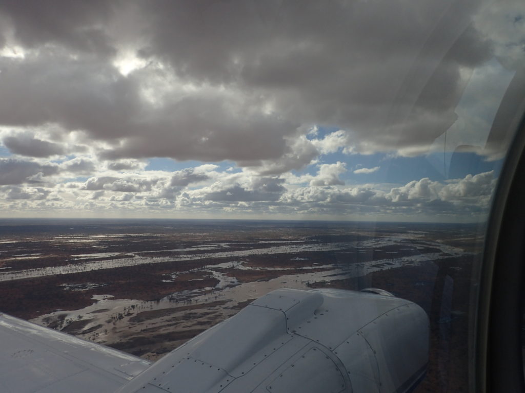 A watery-looking Outback